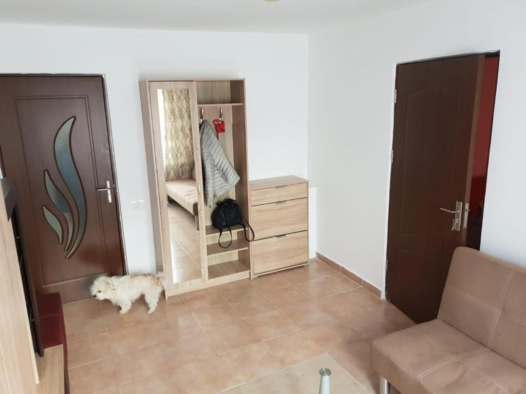 Apartament 2 Camere Tomis Nord 콘스탄차 외부 사진