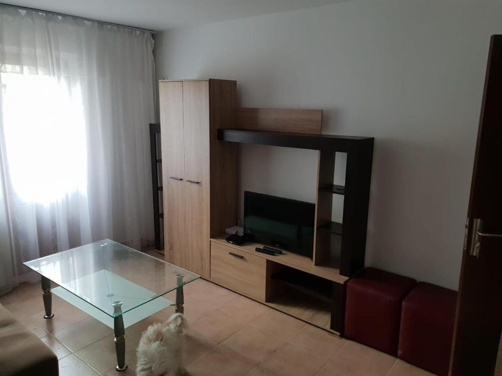 Apartament 2 Camere Tomis Nord 콘스탄차 외부 사진